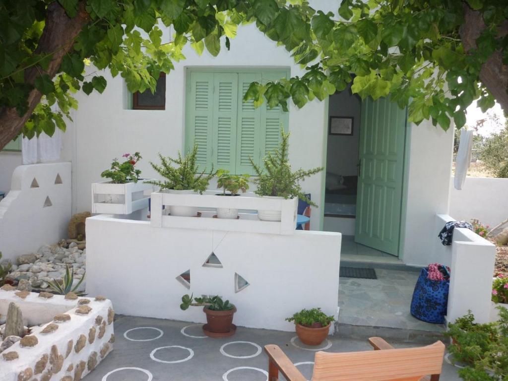 Skyros Panorama Studios Ruang foto