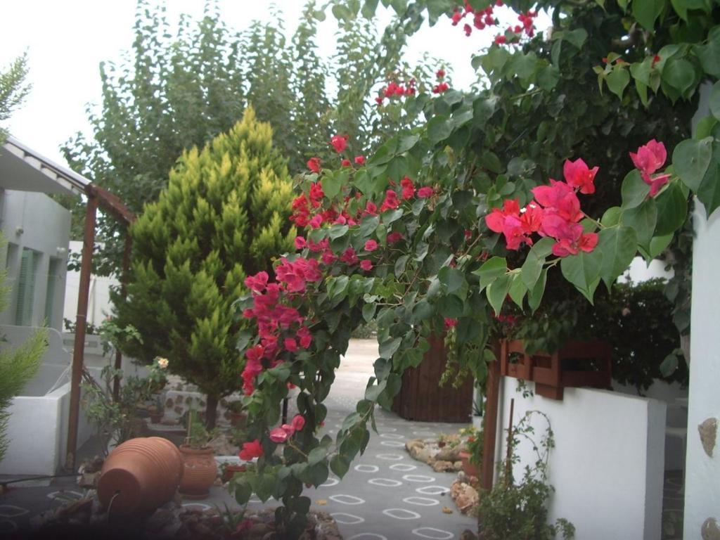 Skyros Panorama Studios Bagian luar foto